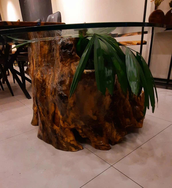 Rustic Tree Trunk Glass Top Table Natural Accent | Craft Edges