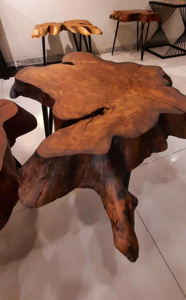 Set of Two Live Edge Wood Center Tables Rustic Style | Craft Edges
