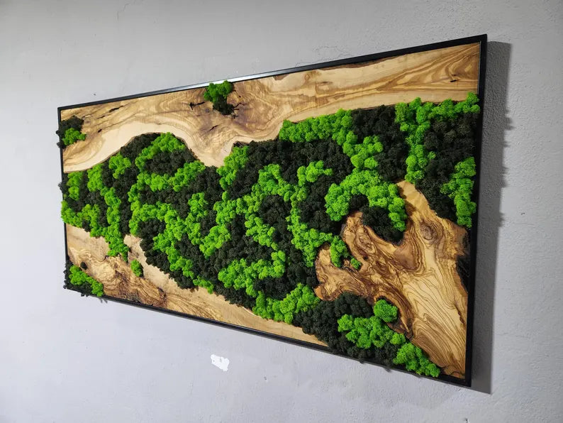 Custom Made Moss and Olive Wood Wall Art, Metal Frame,