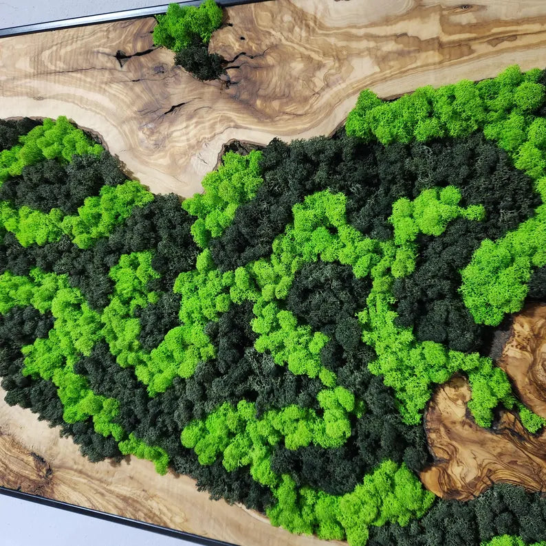 Custom Made Moss and Olive Wood Wall Art, Metal Frame,