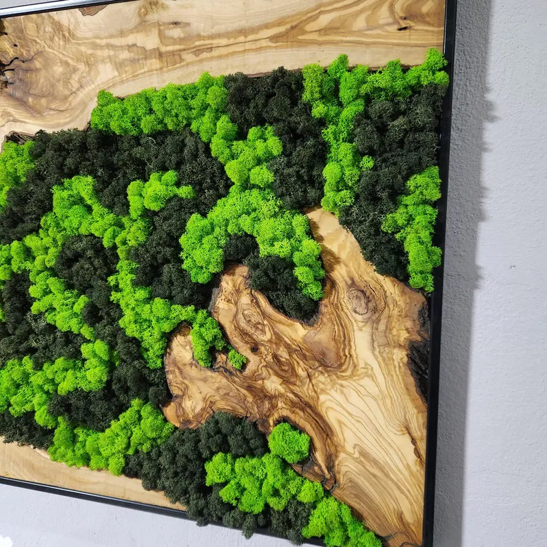 Custom Made Moss and Olive Wood Wall Art, Metal Frame,