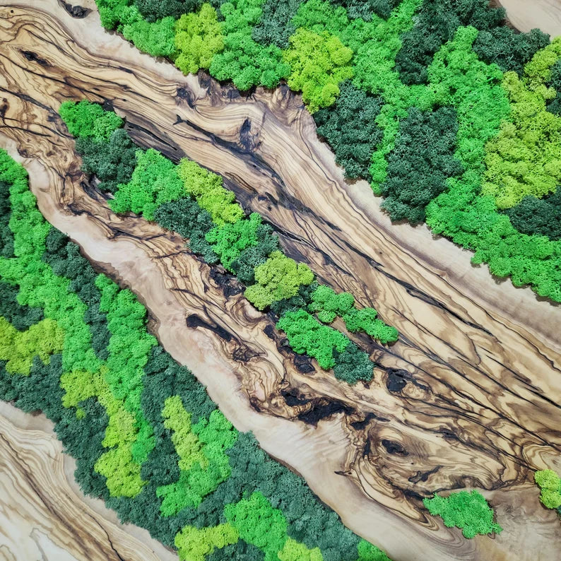 Olive Wood and Moss Wall Art- Preserved Stabilized Moss Wall Decor