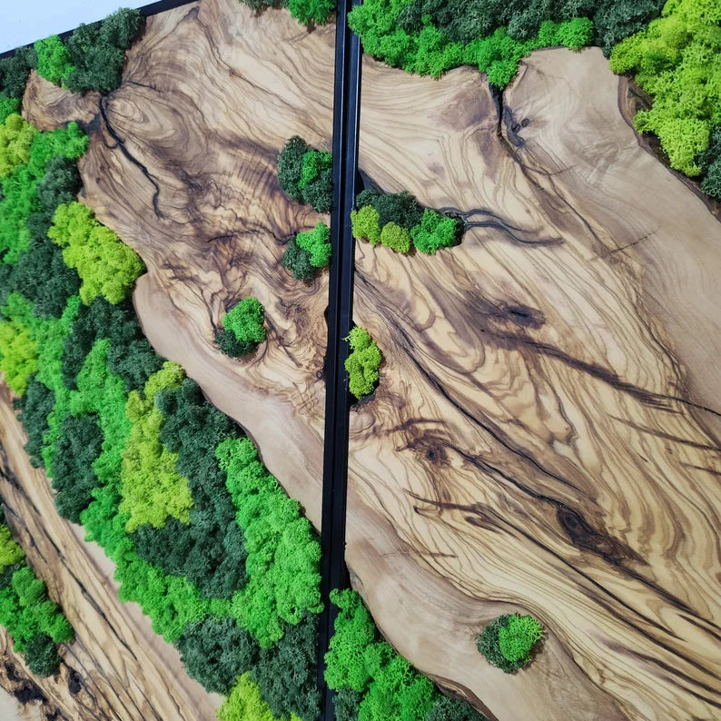 Olive Wood and Moss Wall Art- Preserved Stabilized Moss Wall Decor