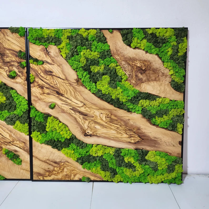 Olive Wood and Moss Wall Art- Preserved Stabilized Moss Wall Decor