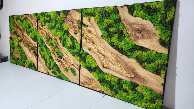 Olive Wood and Moss Wall Art- Preserved Stabilized Moss Wall Decor