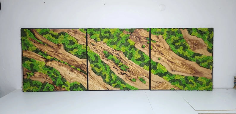 Olive Wood and Moss Wall Art- Preserved Stabilized Moss Wall Decor