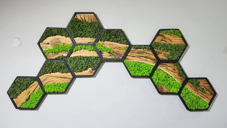 Hexagon Moss and Olive Wood Wall Art