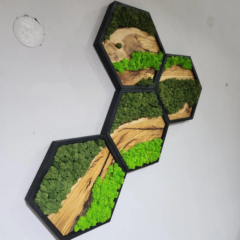 Hexagon Moss and Olive Wood Wall Art