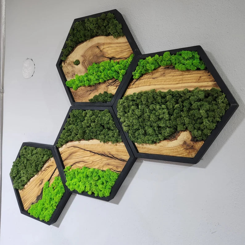 Hexagon Moss and Olive Wood Wall Art