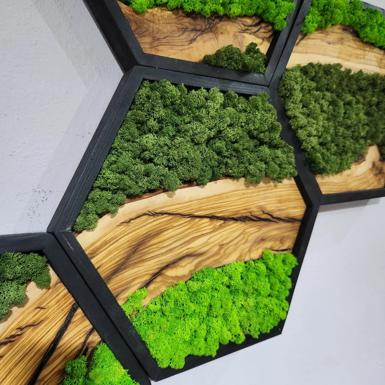 Hexagon Moss and Olive Wood Wall Art