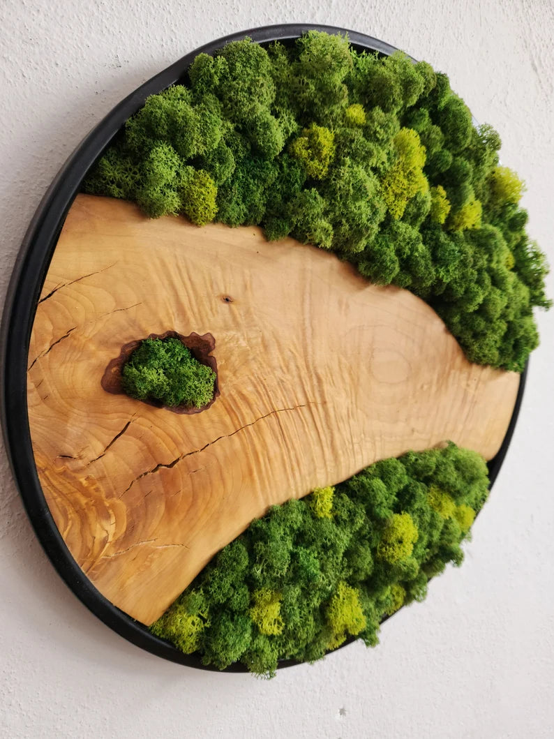 Custom Made Moss and Olive Wood Wall Art