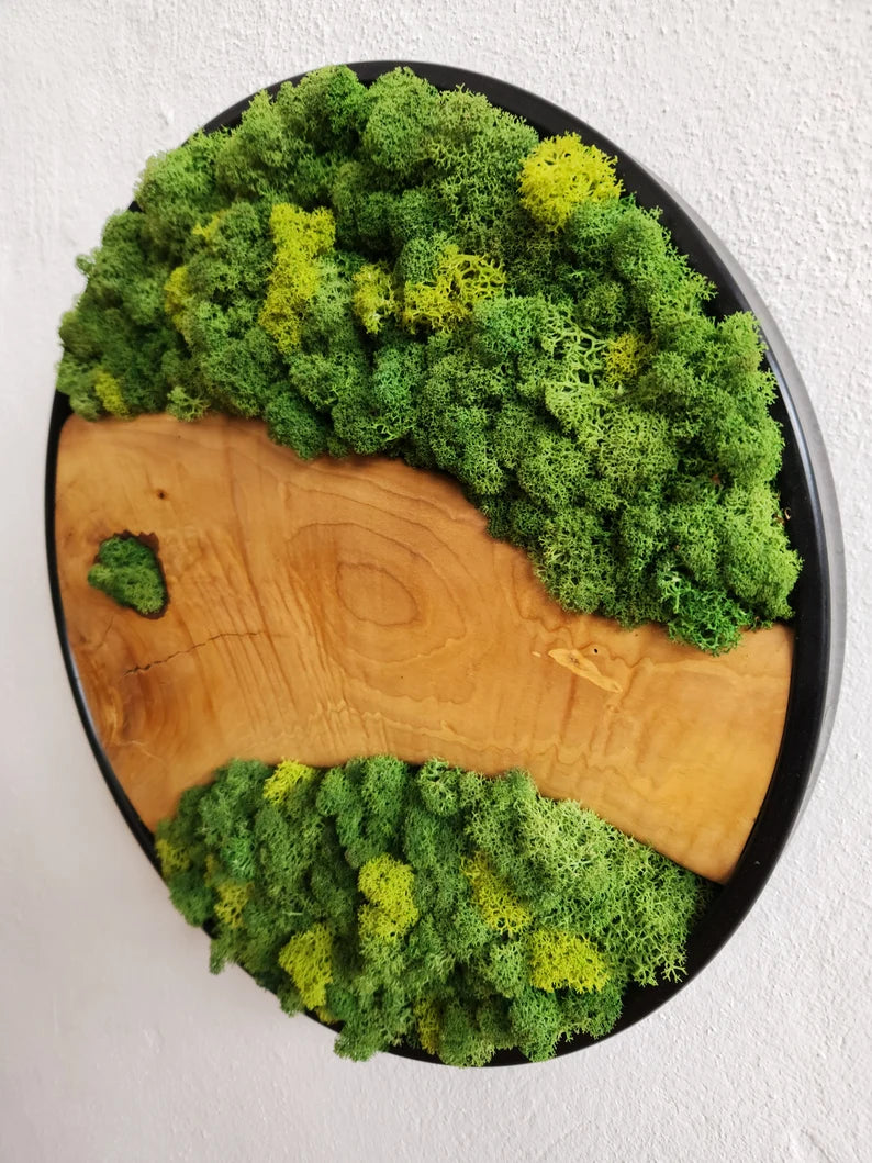 Custom Made Moss and Olive Wood Wall Art