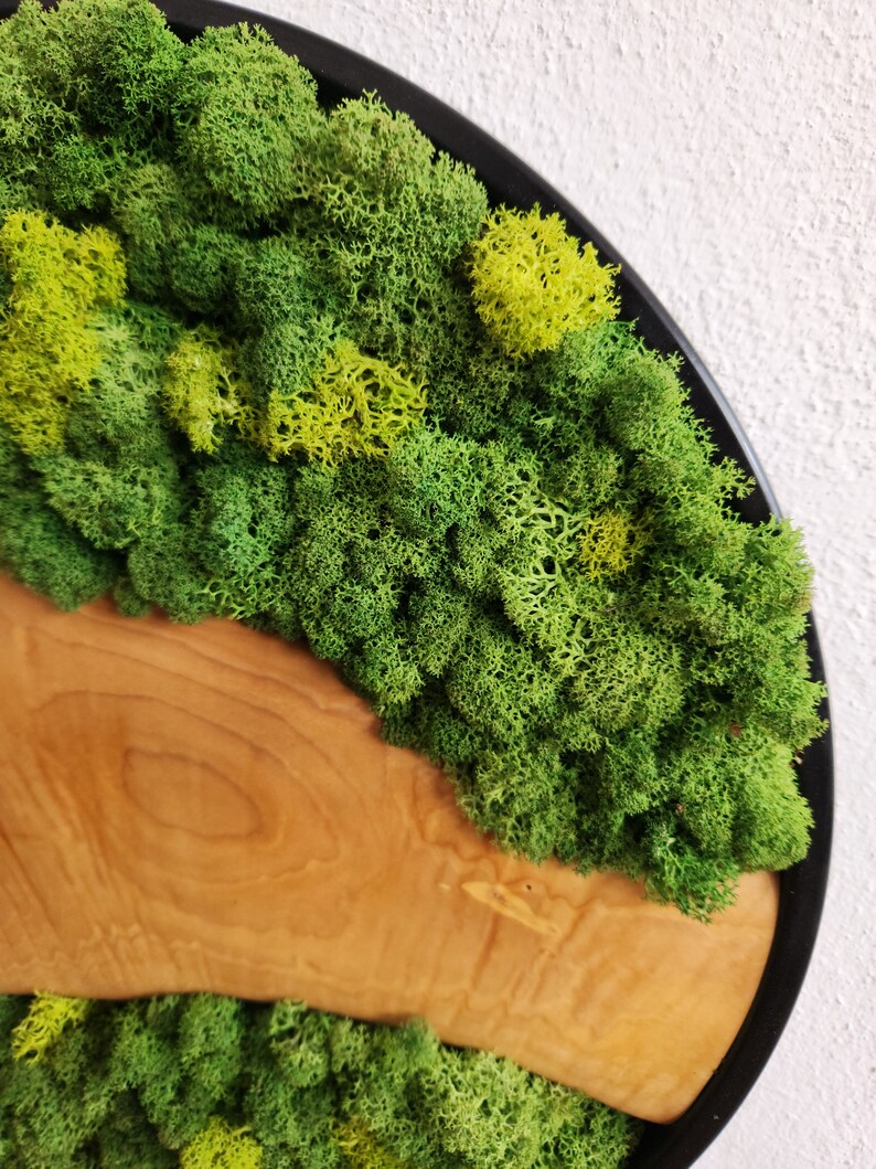 Custom Made Moss and Olive Wood Wall Art