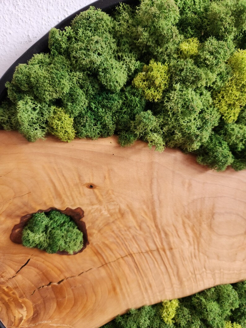 Custom Made Moss and Olive Wood Wall Art