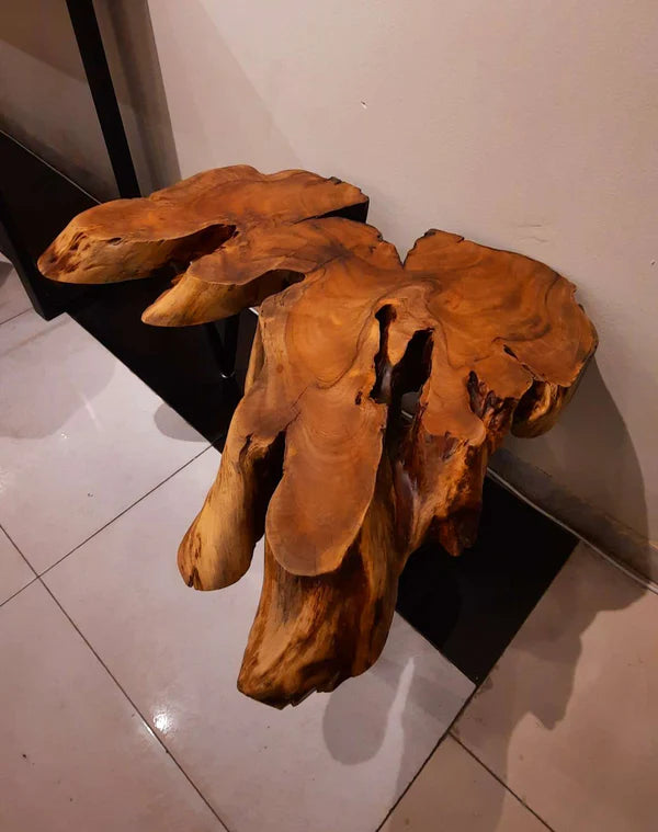 Organic Root Form Corner Table Teak Wood Art Piece | Craft Edges