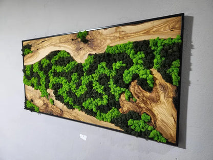 Custom Made Moss and Olive Wood Wall Art, Metal Frame,