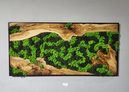 Custom Made Moss and Olive Wood Wall Art, Metal Frame,
