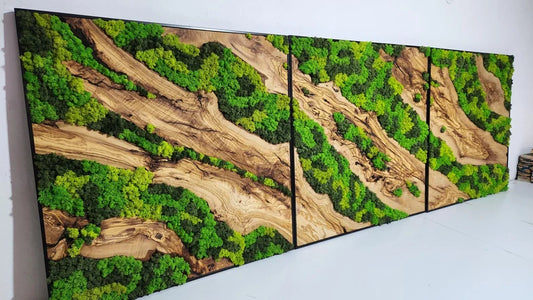 Olive Wood and Moss Wall Art- Preserved Stabilized Moss Wall Decor