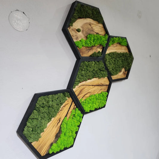 Hexagon Moss and Olive Wood Wall Art