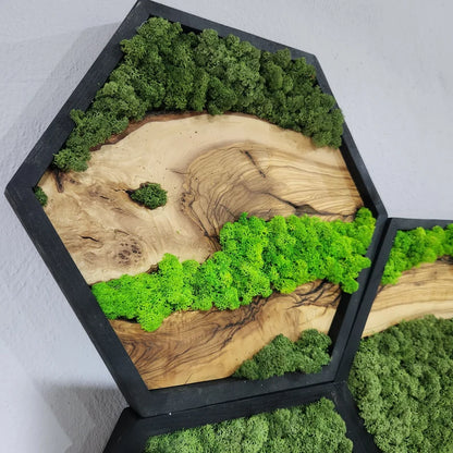 Hexagon Moss and Olive Wood Wall Art