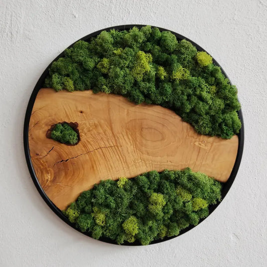 Custom Made Moss and Olive Wood Wall Art
